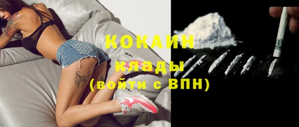 spice Алзамай