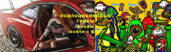 спиды Алексин