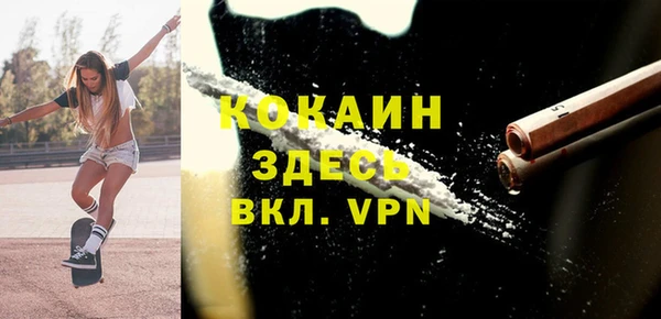 spice Алзамай