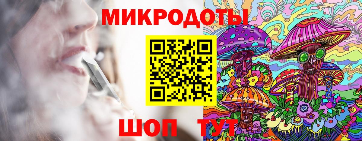 Галлюциногенные грибы Psilocybe Белгород