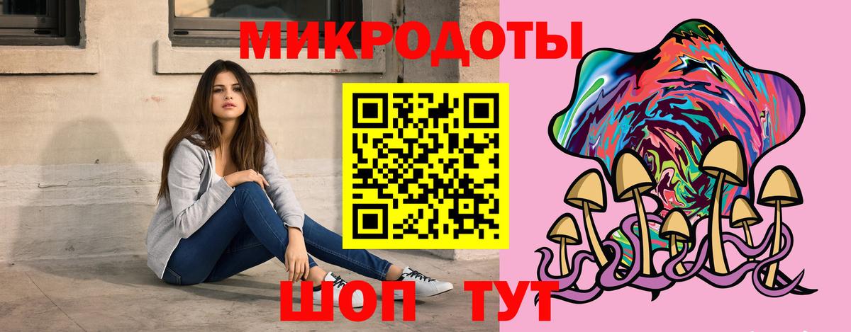 Псилоцибиновые грибы Psilocybe  Вход с VPN  Галлюциногенные грибы Psilocybe  Белгород 